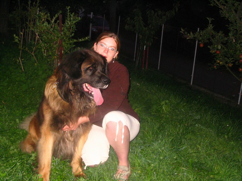 Štěňata Leonberger - Vrh C