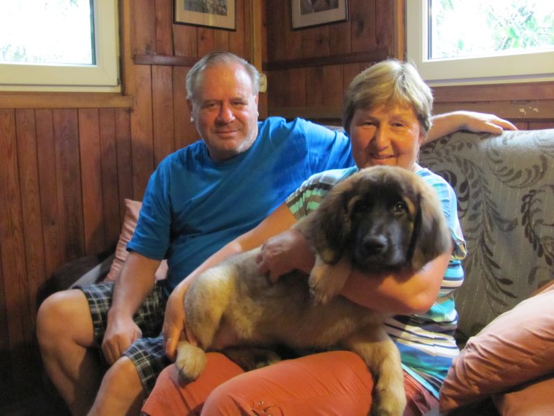 Štěňata Leonberger - Vrh E