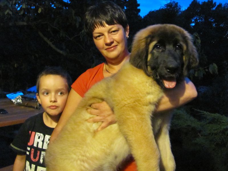 Štěňata Leonberger - Vrh E